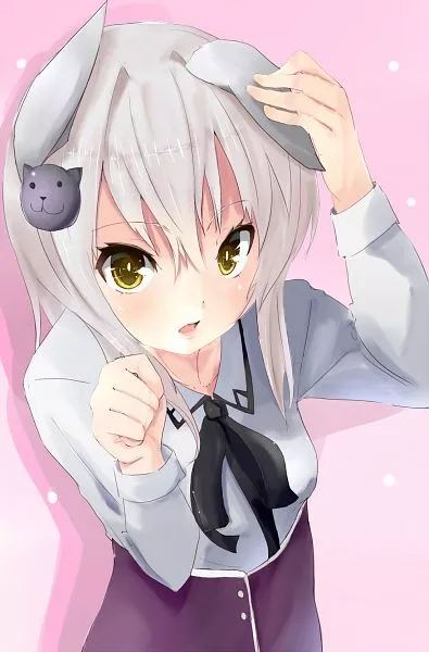 Neko-Chan - Anizm.TV