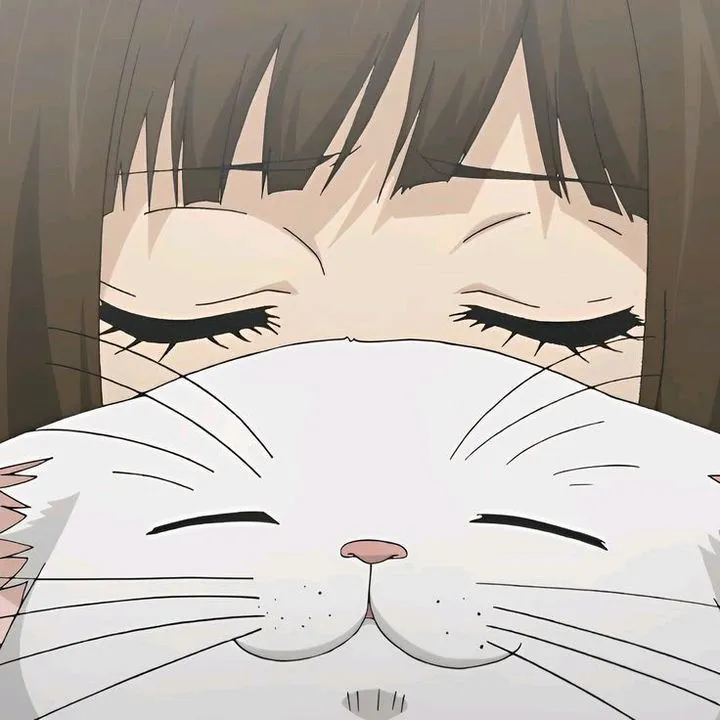 hachikonana707 - Anizm.TV