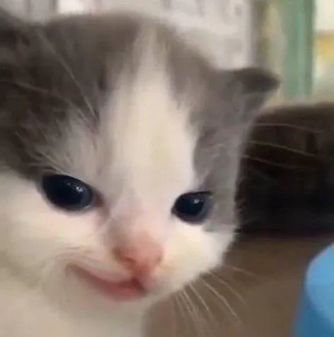 kyez